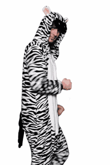 zebra godsmilla