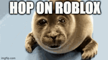 hop on roblox roblox roblox memes hop on sad seal