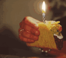 Bday Taco GIF - Bday Taco Happybirthday GIFs