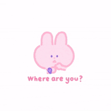 rabbit bunny pink cute where are u