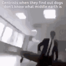 Centrist Dog Dog GIF - Centrist Dog Dog Middle Earth GIFs
