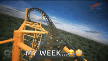 Fast Roller Coaster GIF - Fast Roller Coaster Thrilling GIFs