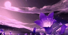 a field of purple flowers against a purple sky with a full moon in the background .