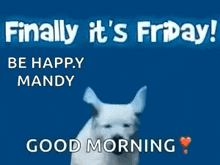 a white dog is running on a blue background with the words `` finally it 's friday ! be happy mandy good morning ''