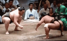 Sumo Sumo Fight GIF