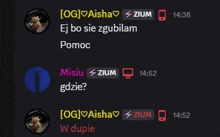 a screenshot of a conversation between two people on a computer .
