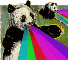 panda rainbow laser