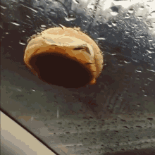 windshield cheeseburger