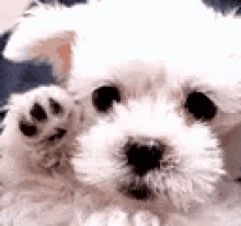Dont Leave GIF - Dont Leave Cute GIFs