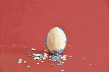Bird GIF - Bird Egg Bird Wink GIFs