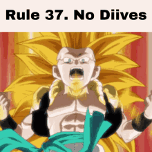 Bruv Rules Rule37 GIF - Bruv Rules Rule37 No Diives GIFs