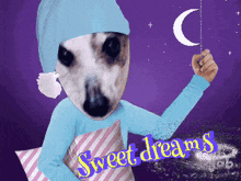 Goodnight Sweet Dreams Bedtime GIF - Goodnight Sweet Dreams Goodnight Sweet Dreams GIFs