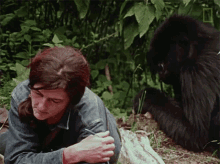 Chilling Around Dian Fossey Narrates Her Life With Gorillas In This Vintage Footage GIF