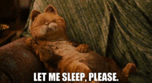 Garfield Let Me Sleep Please GIF - Garfield Let Me Sleep Please Sleep GIFs