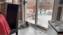 Cat Attack GIF - Cat Attack Jumping GIFs