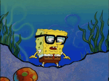 Spongebob Shocked GIF - Spongebob Shocked Surprised GIFs