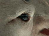 a close up of a goat 's eye with the words and executive producer idliy scott written above it