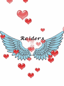 Raiders Wings GIF - Raiders Wings Angel GIFs