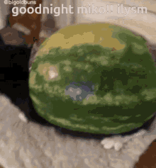 Good Night Significant Other GIF - Good Night Significant Other Cat GIFs