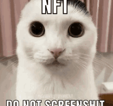 Nft Do GIF - Nft Do Not GIFs