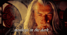 Gandalf Lord Of The Rings GIF - Gandalf Lord Of The Rings Monkeys GIFs