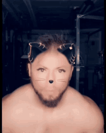 Mikenspired Catman GIF - Mikenspired Catman Pounce GIFs