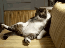 疲れた　つかれた　ネコ　猫　ねこ GIF - Jptired Cat GIFs