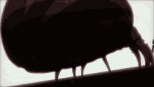 a silhouette of a person standing in front of a large spider