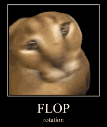 Floppa Bingus GIF - Floppa Bingus Plus GIFs