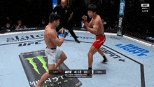 two men are fighting in a ufc ring with bud light on the side