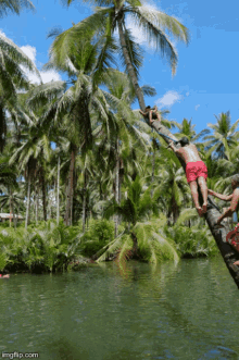 River Swing GIF - River Swing Province GIFs