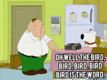 Bird Birdistheword GIF - Bird Birdistheword Theword GIFs
