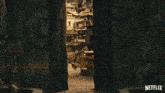 an advertisement for netflix shows a bridge over a river