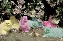 Cats Colorful GIF - Cats Colorful GIFs