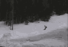 Ski Skiiing GIF - Ski Skiiing GIFs