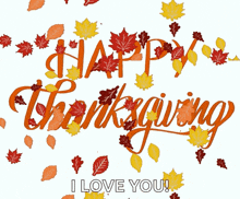 a happy thanksgiving greeting with leaves and the words " i love you "
