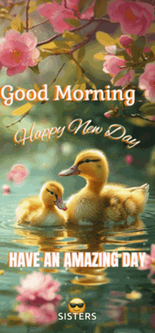 two ducklings are swimming in the water with the words good morning happy new day have an amazing day sisters