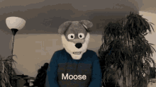 Moose Asl GIF
