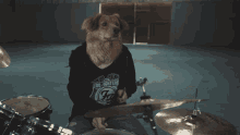 drumdog django yango drums drummer
