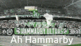 Hammarby Bajen GIF - Hammarby Bajen Pyro GIFs