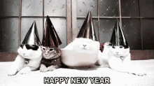Happy New Year Cats GIF - Happy New Year Cats Fat GIFs