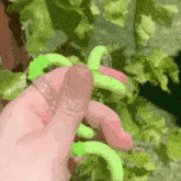 Green Stim GIF - Green Stim Tangle GIFs