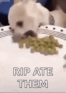 a dog is eating grapes from a plate with the words rip ate them written on it .
