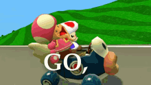 Toad Smg4 GIF