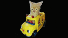 Cat In Car Danya GIF - Cat In Car Danya Car In Car GIFs