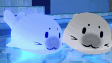 two seals are swimming in a pool with a blue light