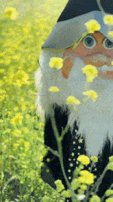 Wizard Fun GIF - Wizard Fun Flower Wizard GIFs