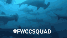 Fwcc2022 Fwccsquad GIF - Fwcc2022 Fwcc Fwccsquad GIFs