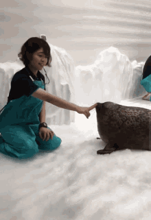 Seal Jiggle GIF - Seal Jiggle Train GIFs
