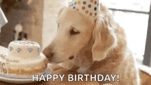 Birthdaycake Happybirthday GIF - Birthdaycake Happybirthday Dogbirthday GIFs